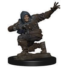 Human Male Rogue